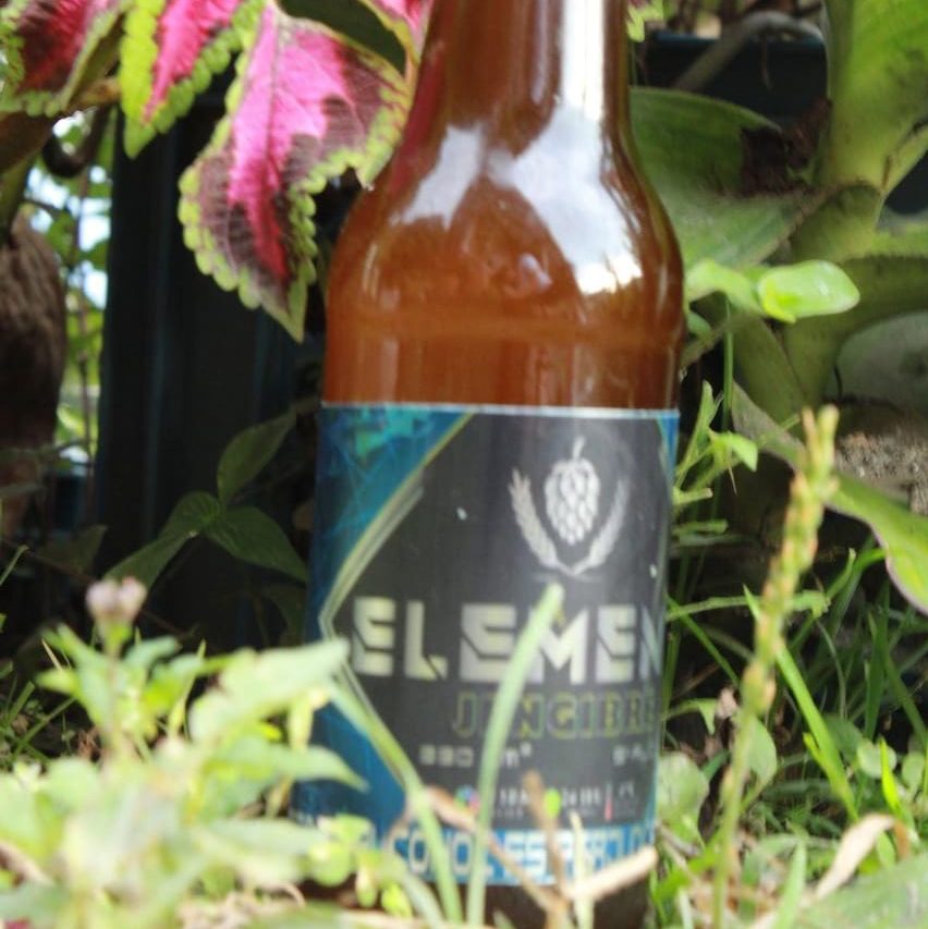 Element Cerveceria Artesanal